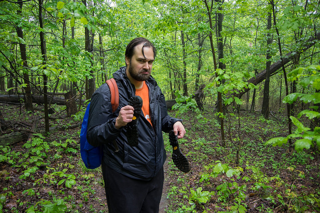 27124315151_8e4c7a684c_z