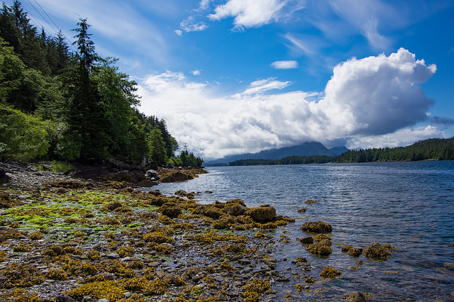 27873879965_5aeb75c730_z